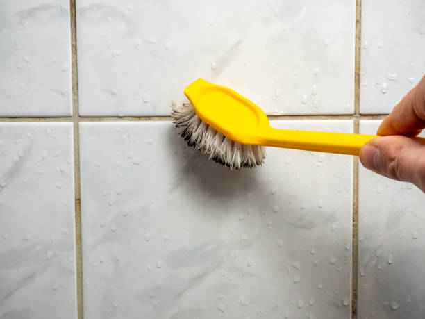 Best Residential Mold Remediation in Tigard, OR