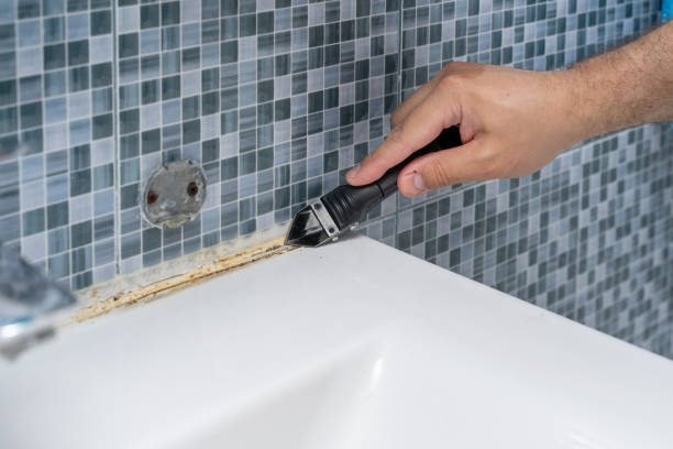 Best Mold Remediation for Schools in Tigard, OR