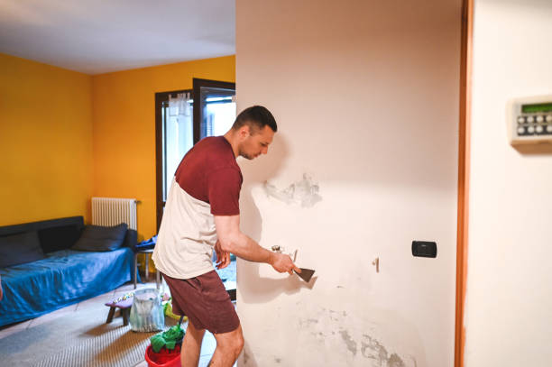 Best Kitchen Mold Remediation in Tigard, OR